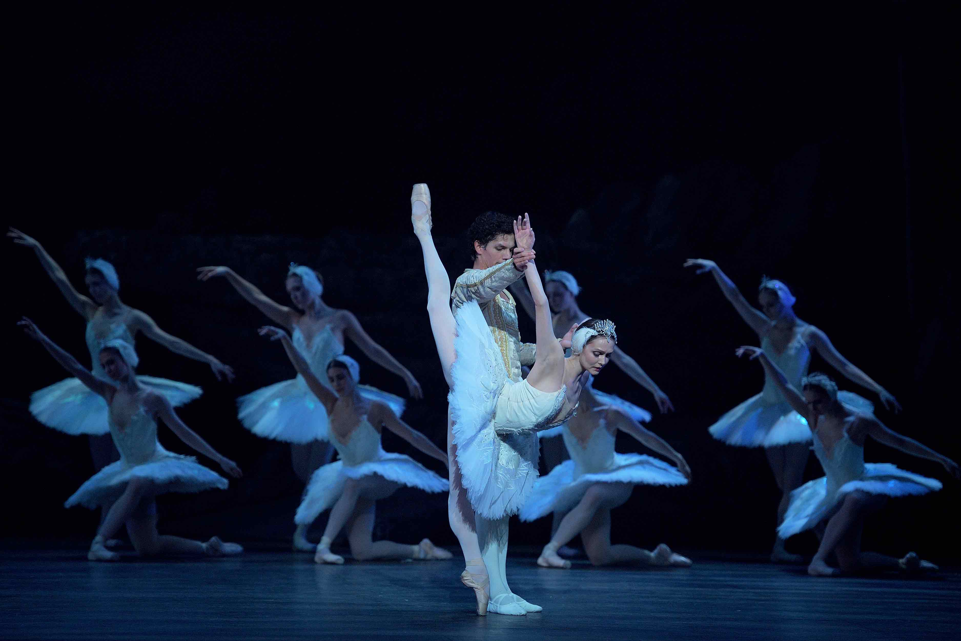 Swan Lake Audience Reaction English National Ballet