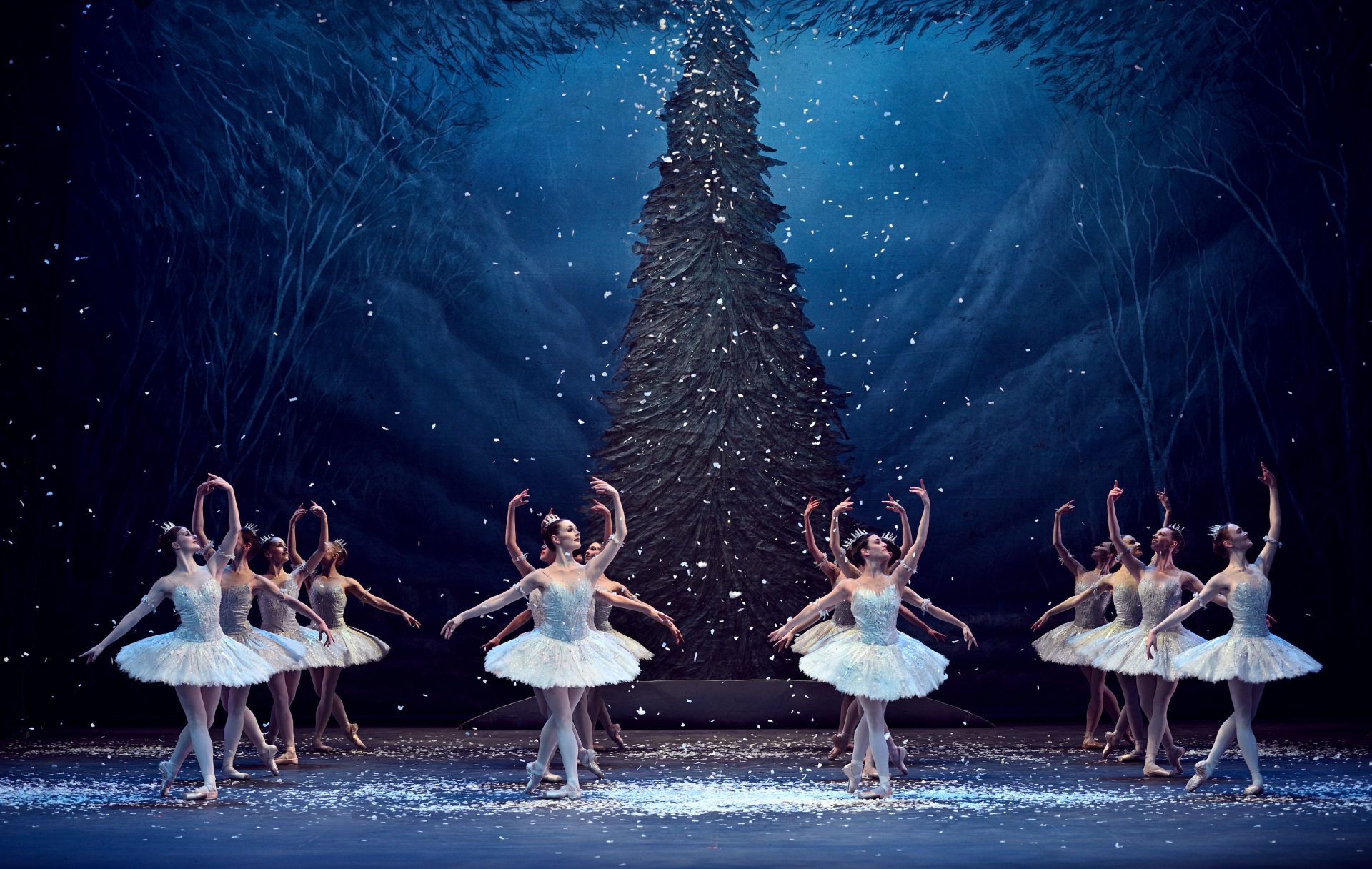 Nutcracker ballet clearance pictures