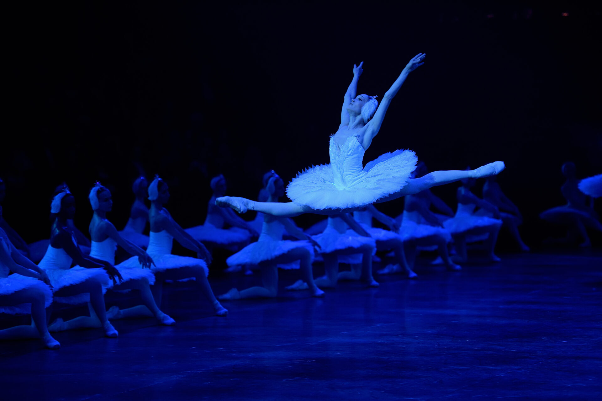 Ksenia Ovsyanick in English National Ballet's Swan Lake in-the-round ballet © Laurent Liotardo